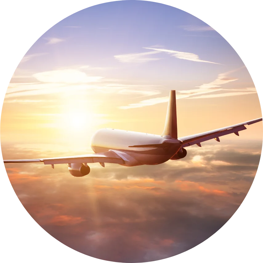 International Repatriation